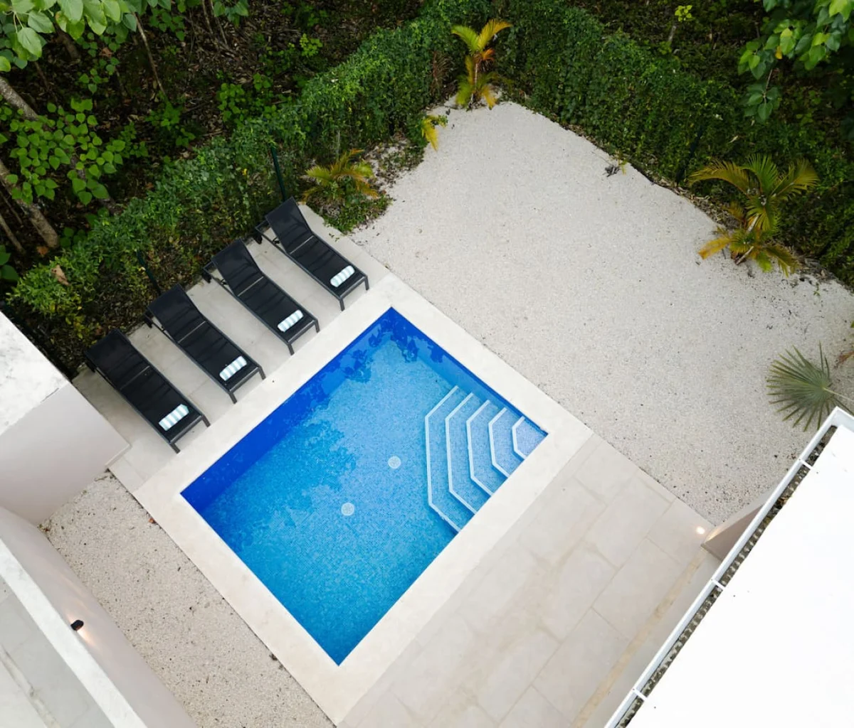 Flamingo Oasis #48