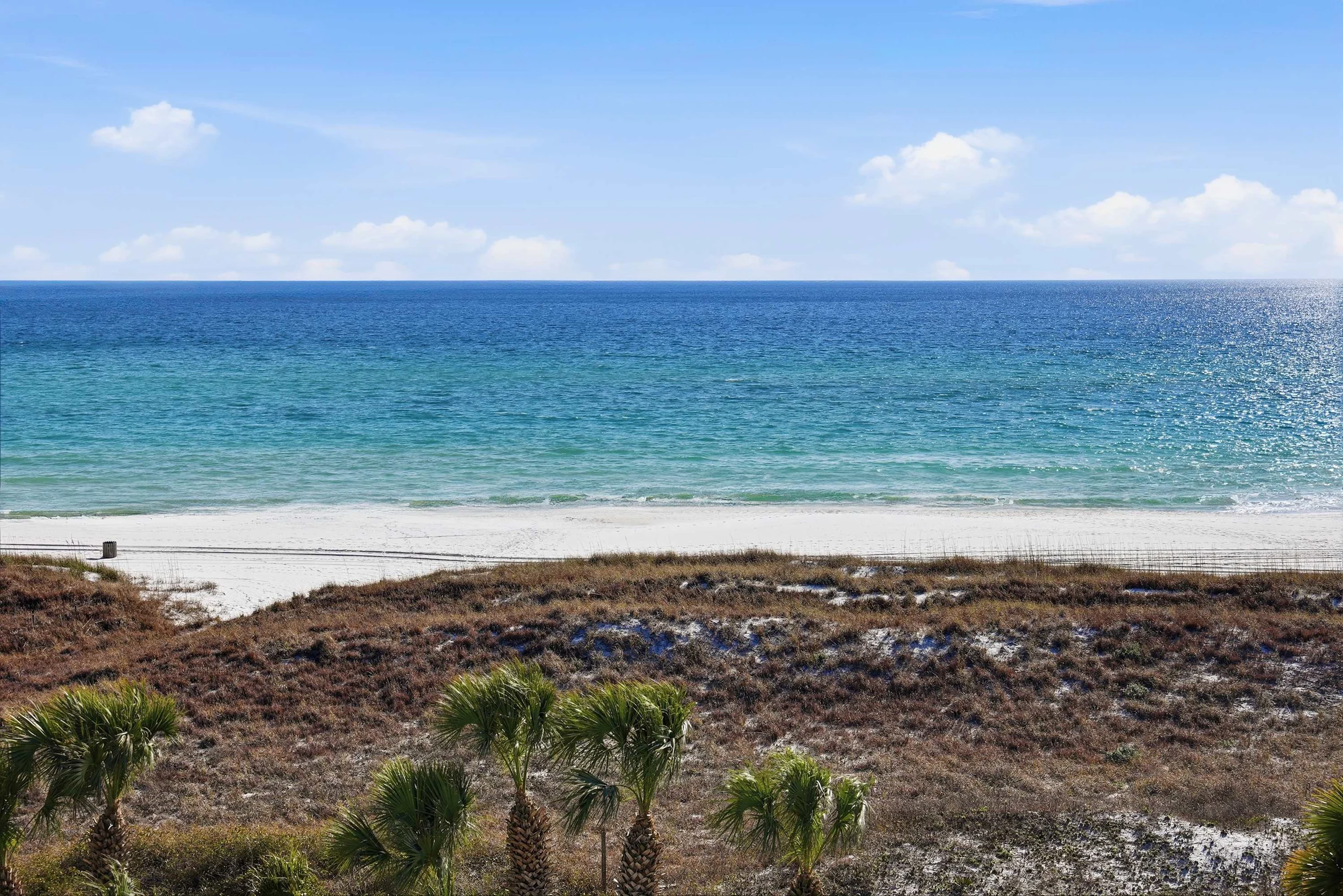 Wander Front Beach Tides #227