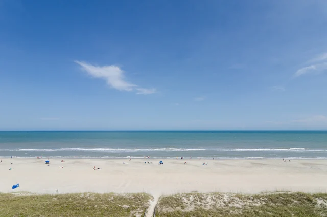 C066 - Carolina Surf #12