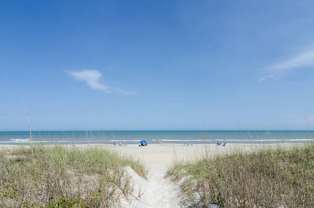 C066 - Carolina Surf #38