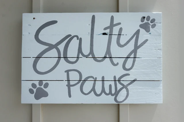 C296 - Salty Paws #8