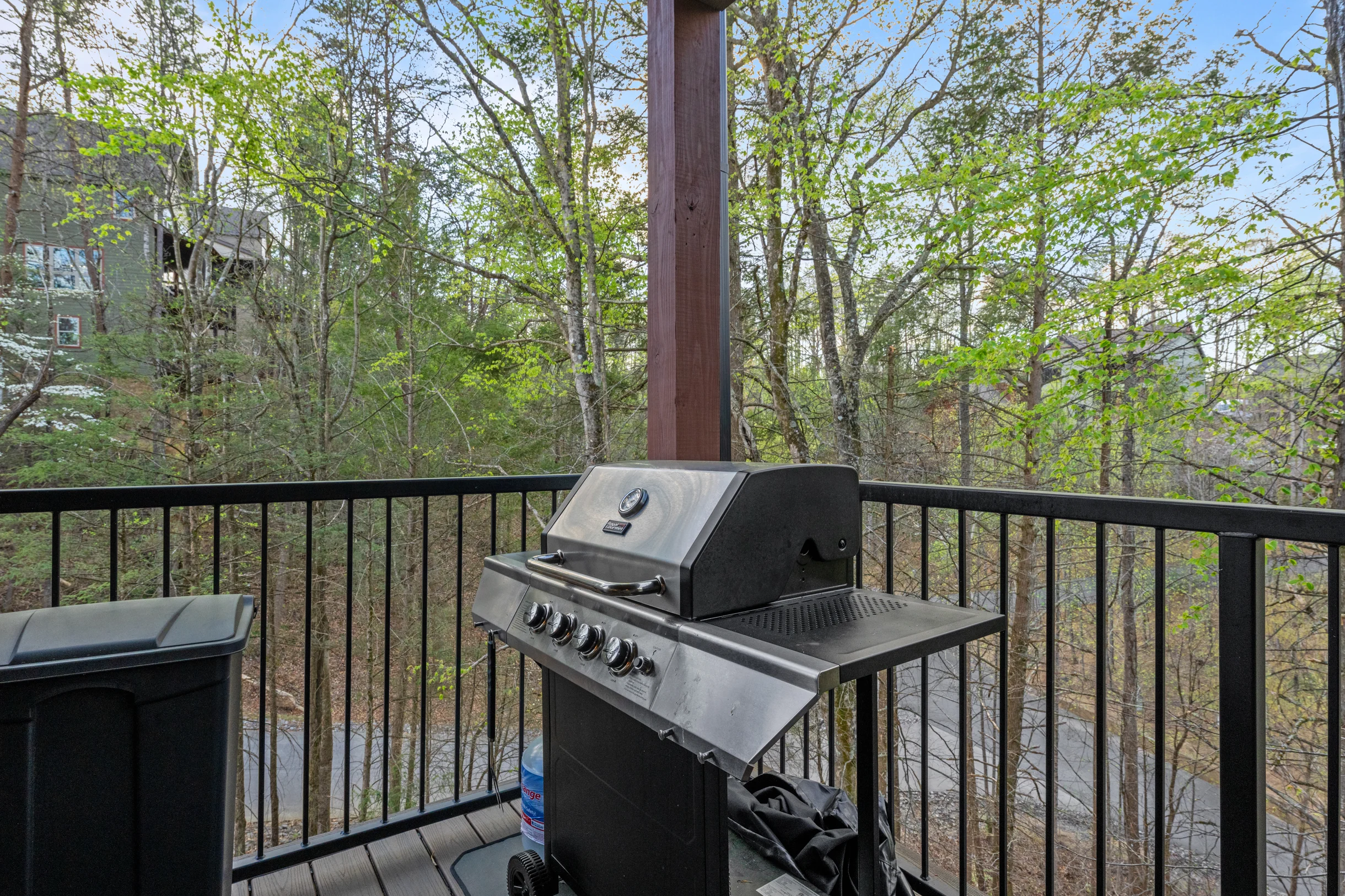 Wander Pigeon Stone #207