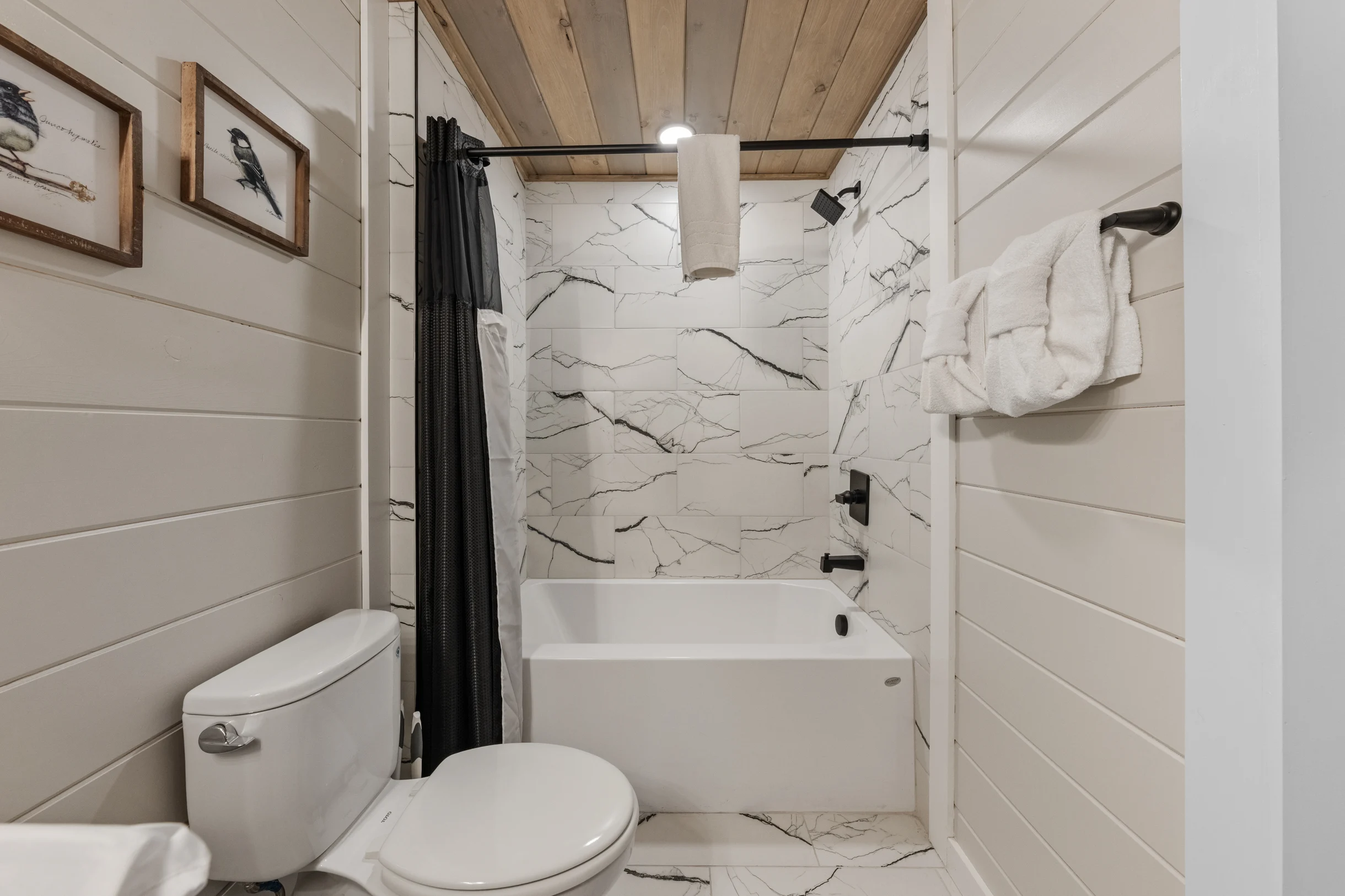 Wander Pigeon Stone #83