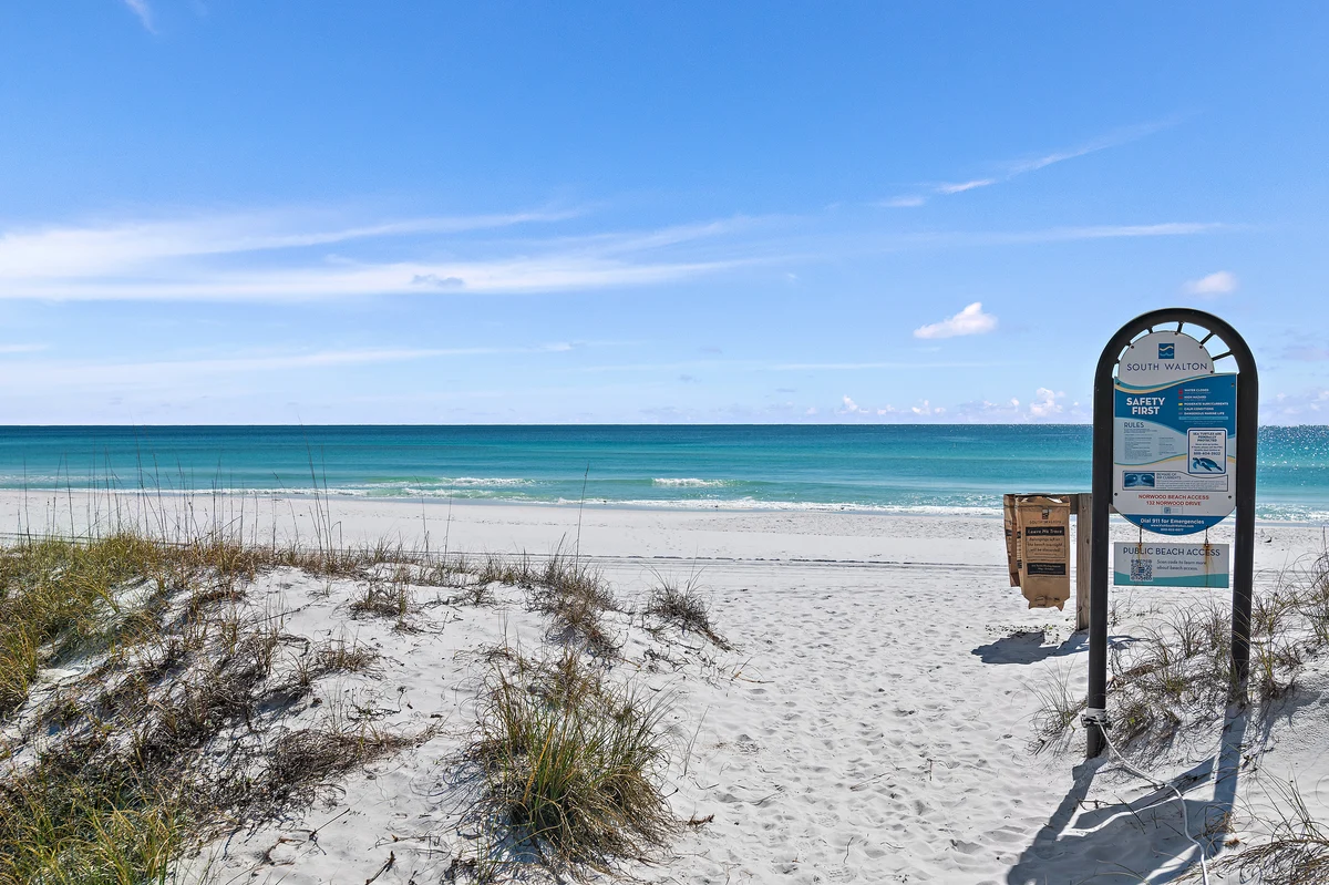 Wander Miramar Reefs #68