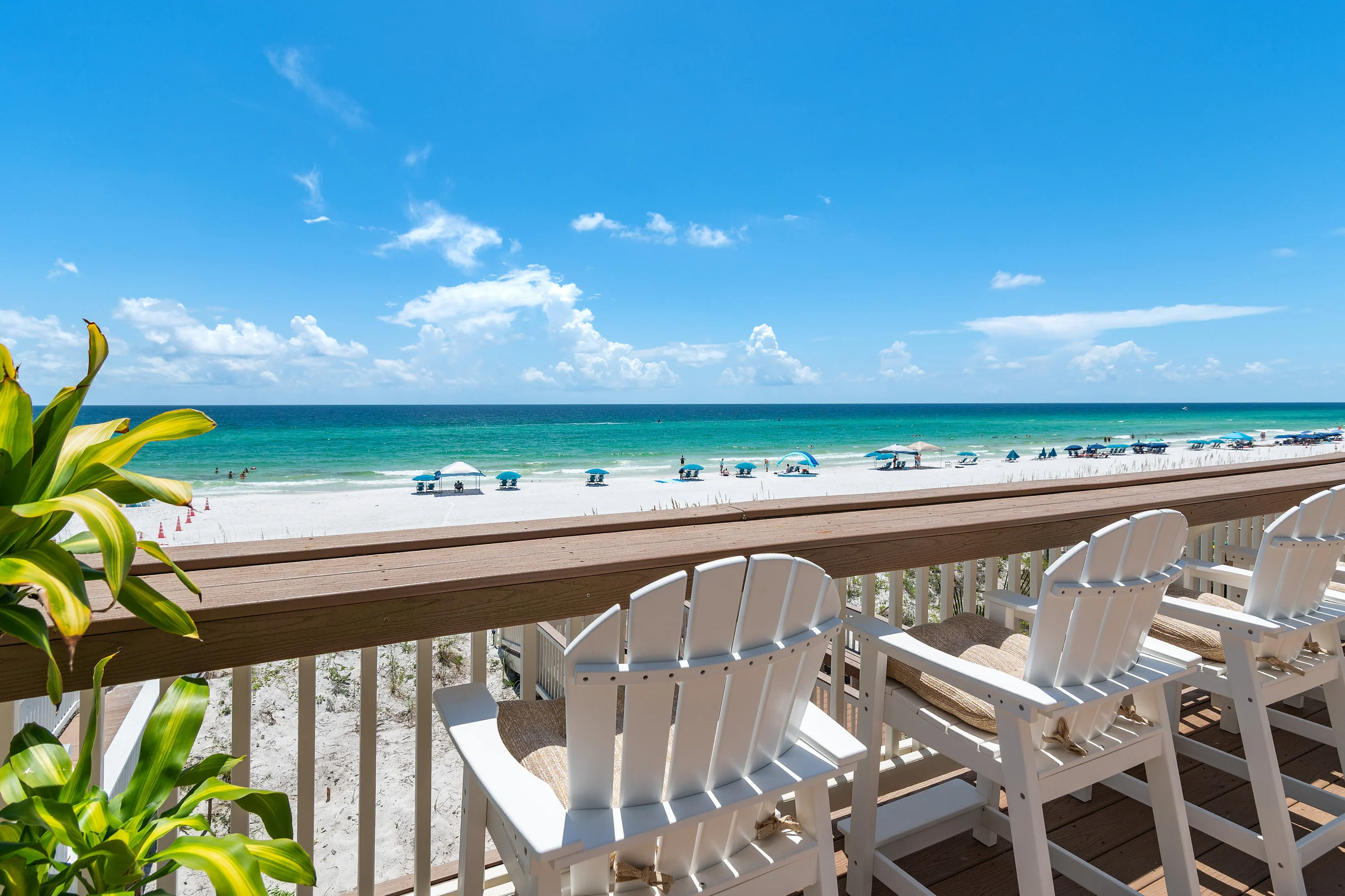 Wander Destin Palms #28