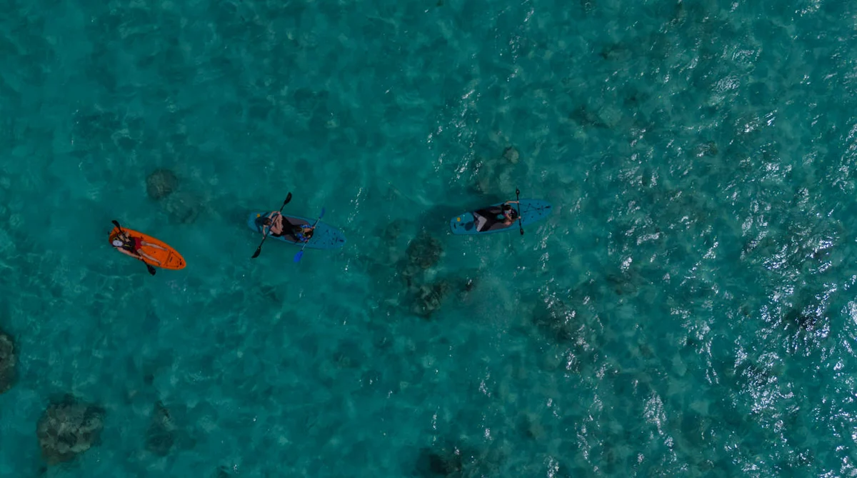 Wander Tankah Cenotes #51