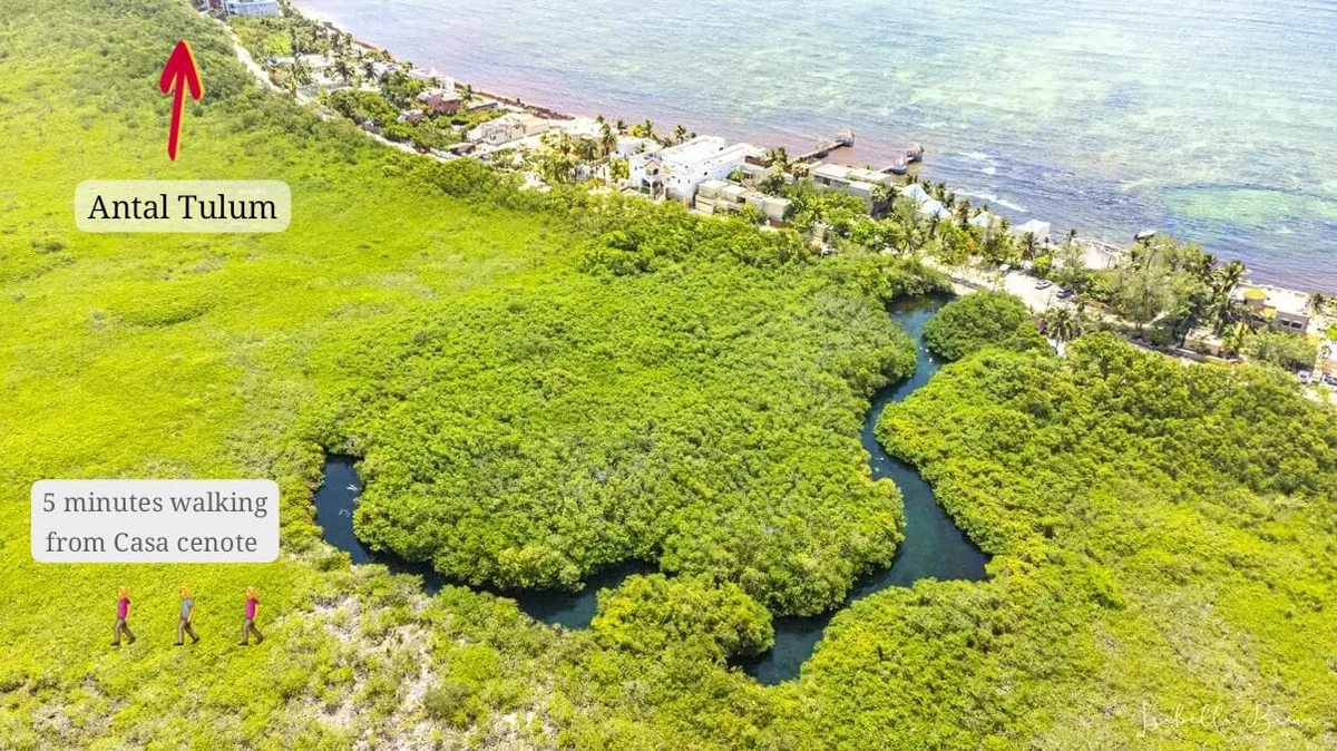 Wander Tankah Cenotes #48