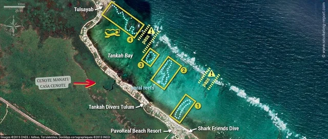 Wander Tankah Cenotes #42