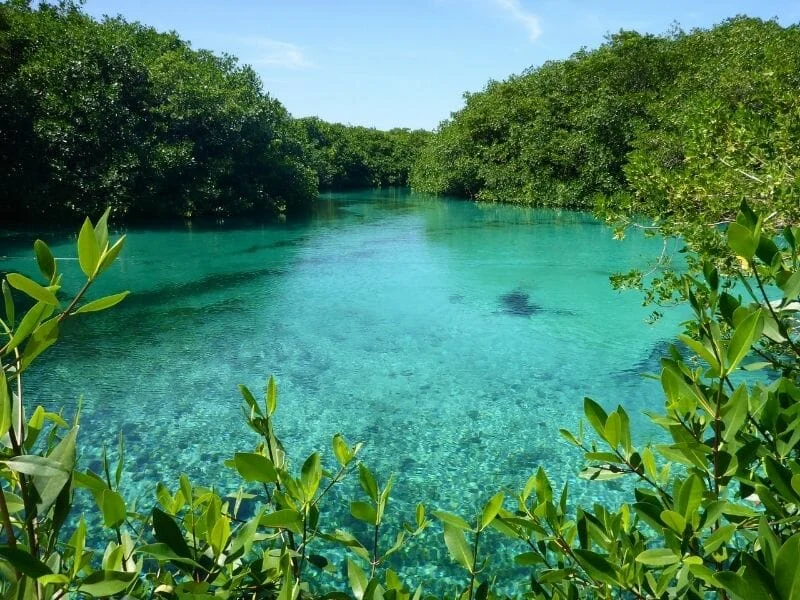 Wander Tulum Drift