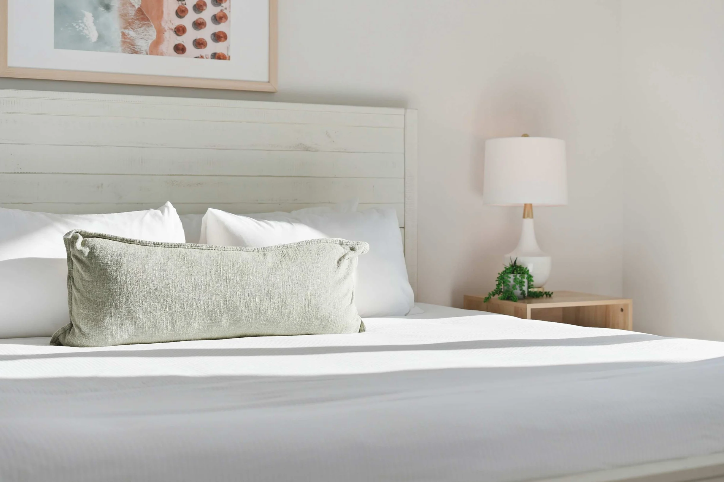 Wander Panama Shores #234