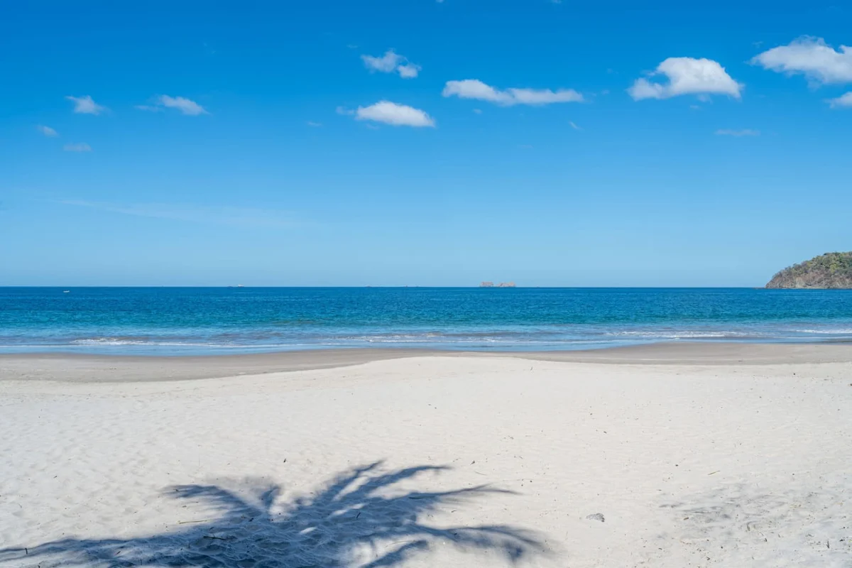 Luxury Oceanfront Villa | The Palms #11
