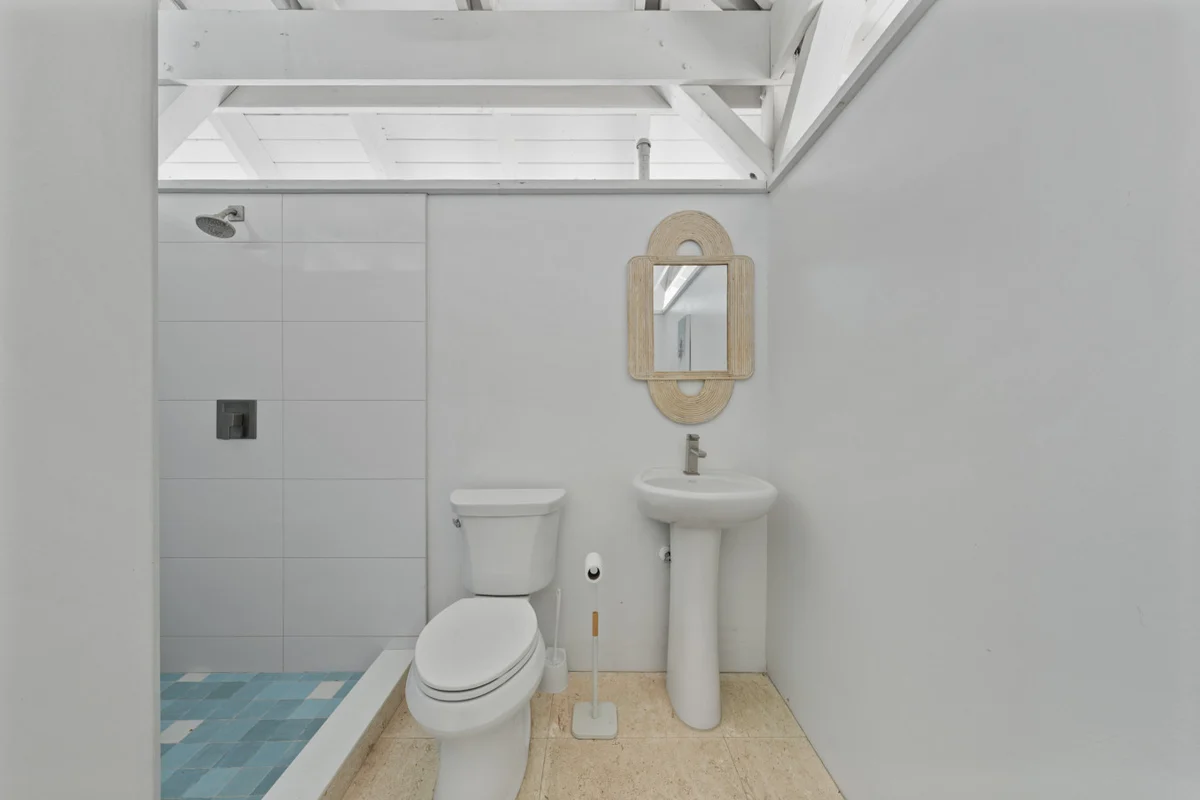 Limefish Luxury #41