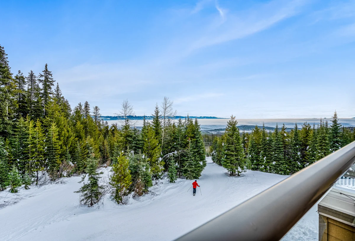 Home in Big White property photo 3