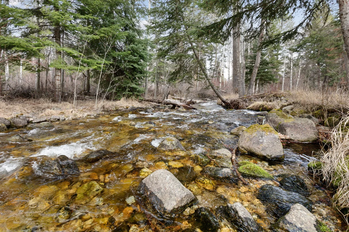 Sweathouse Creek Lodge property photo 3