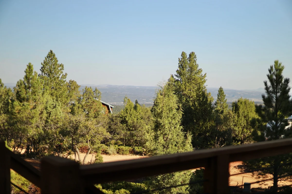 Black Copper Cabin #48