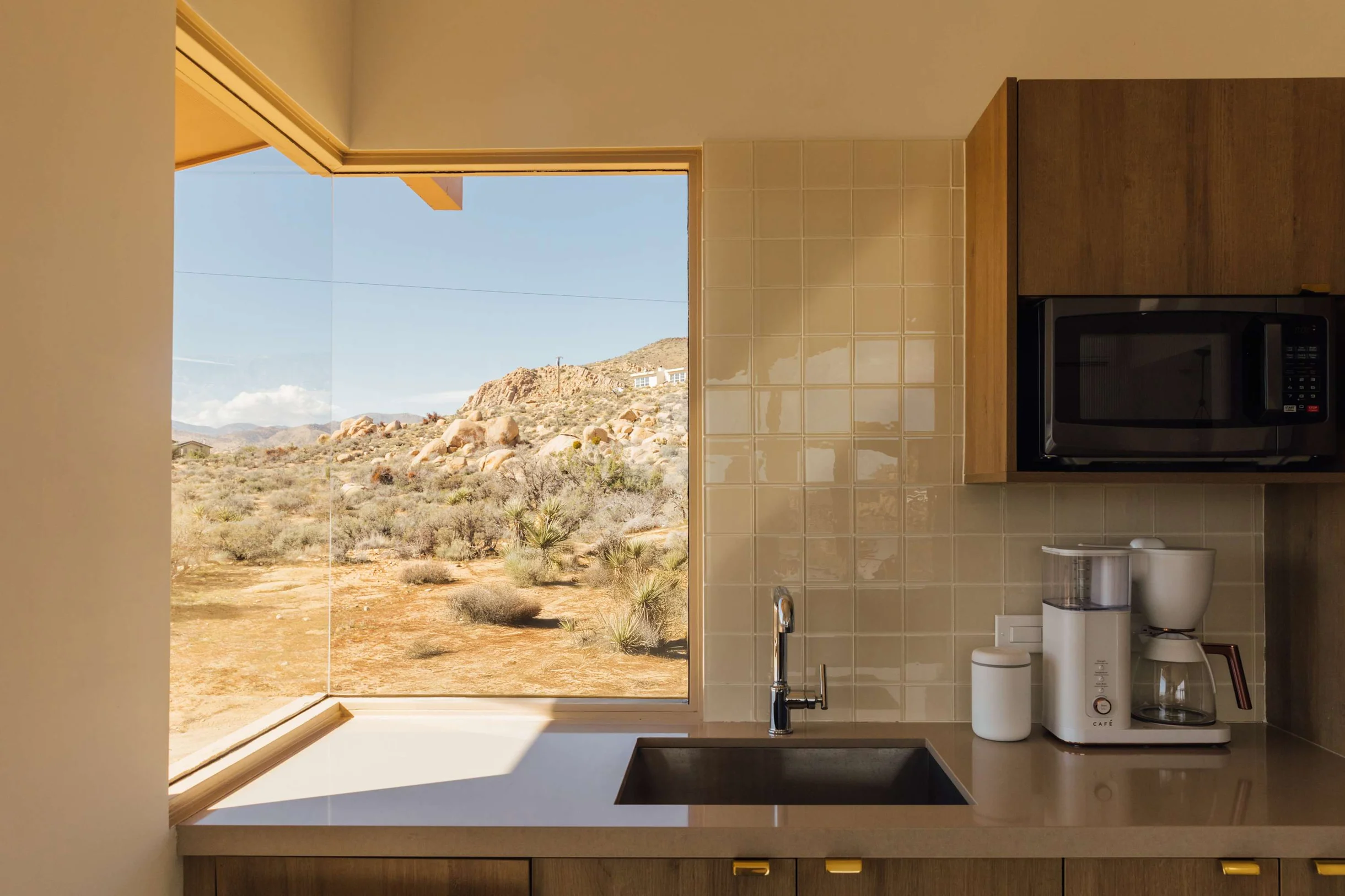 Wander Yucca Valley Pines #18