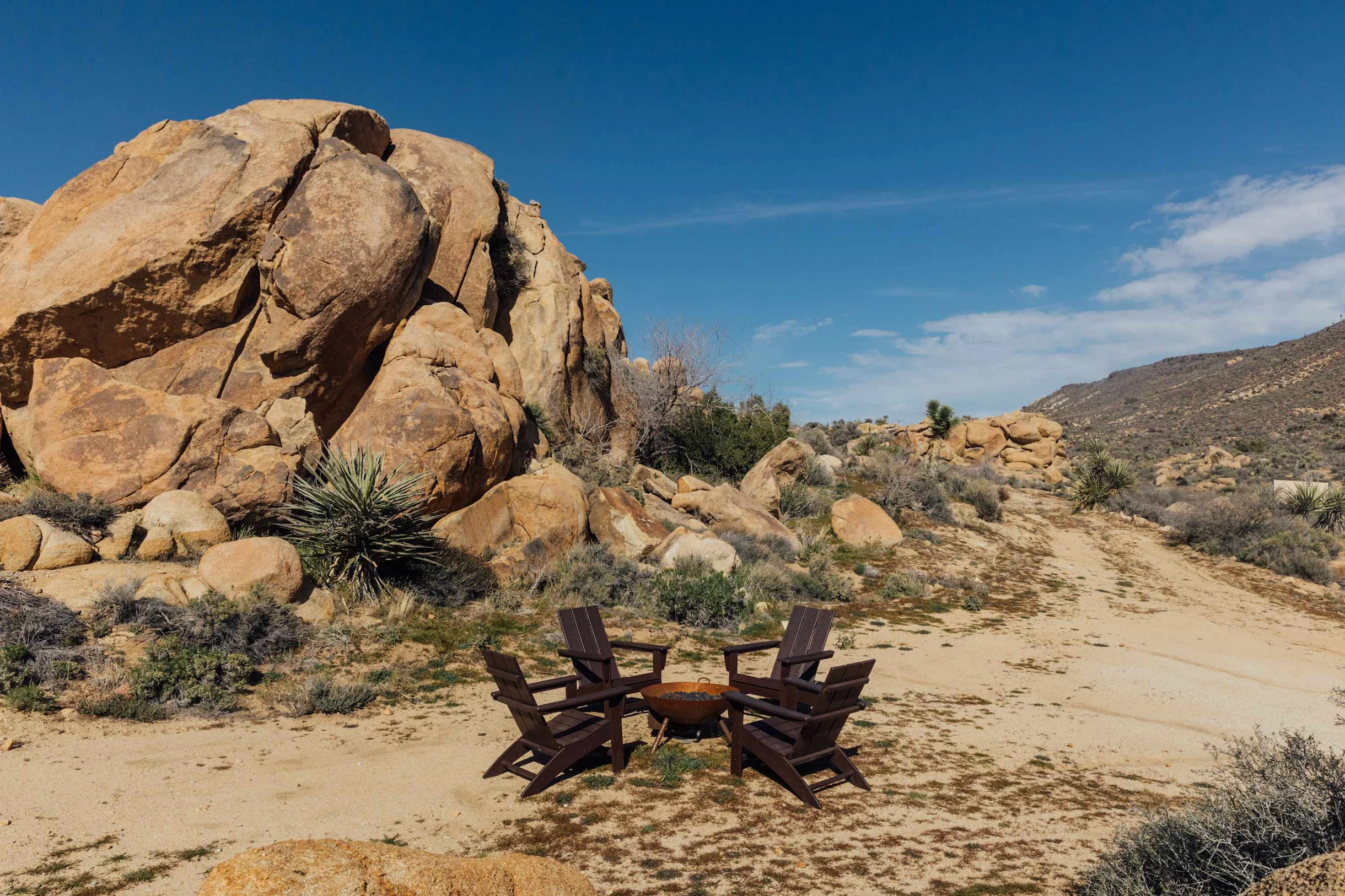 Wander Yucca Valley Pines #69