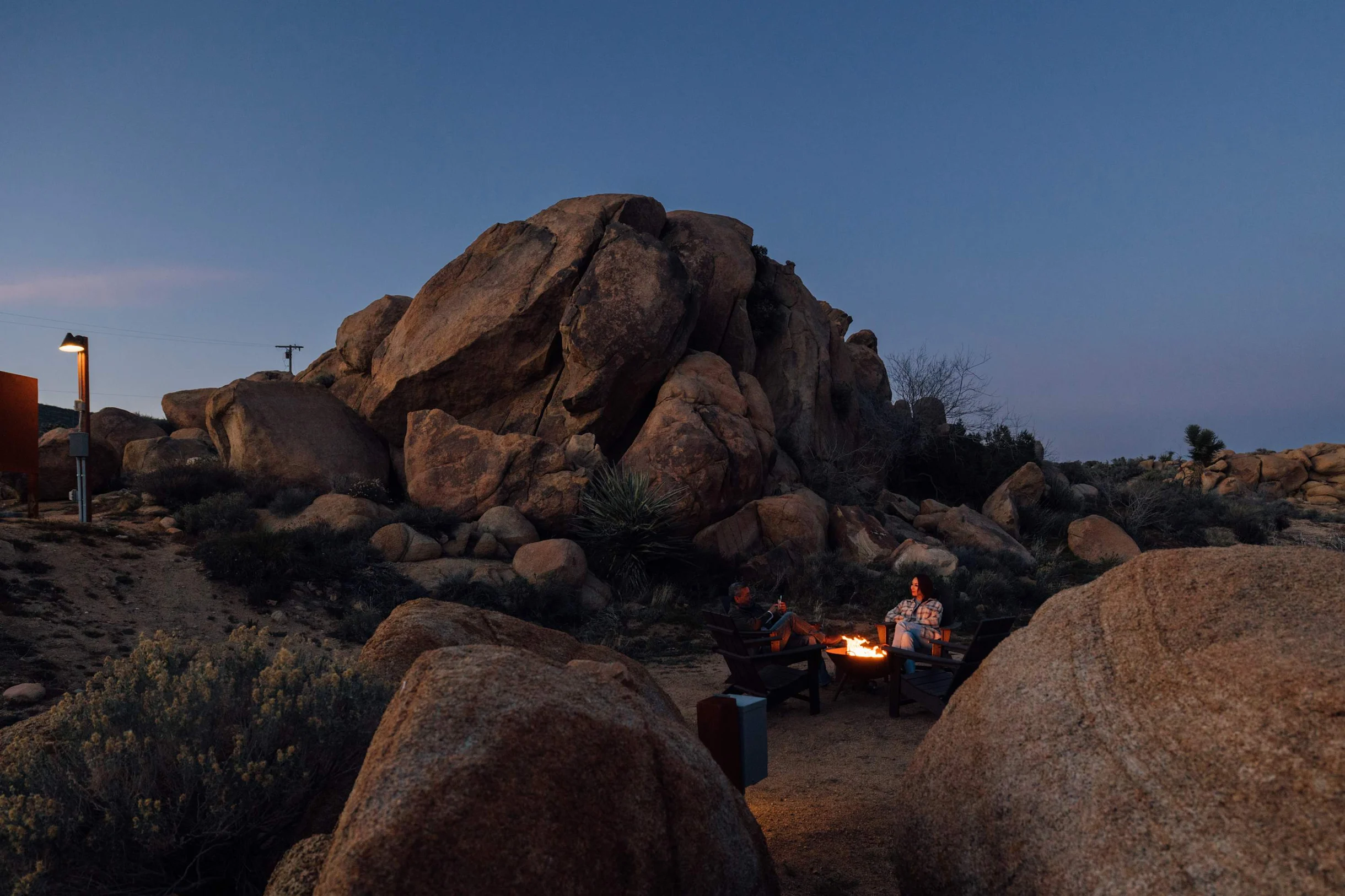 Wander Yucca Valley Pines #48