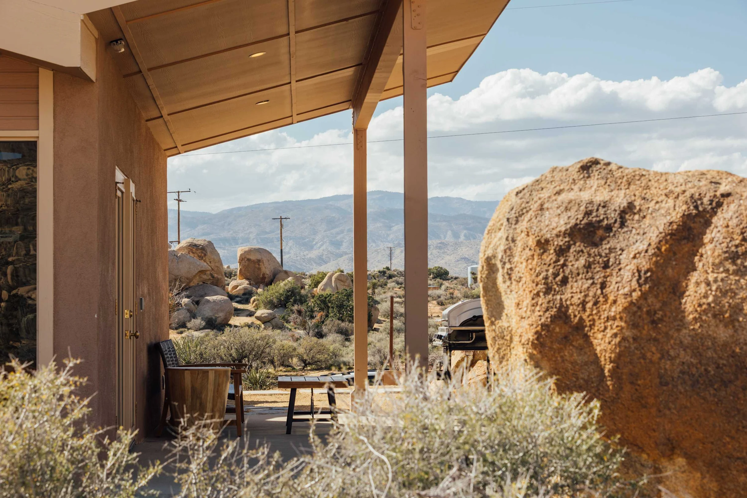 Wander Yucca Valley Pines #74