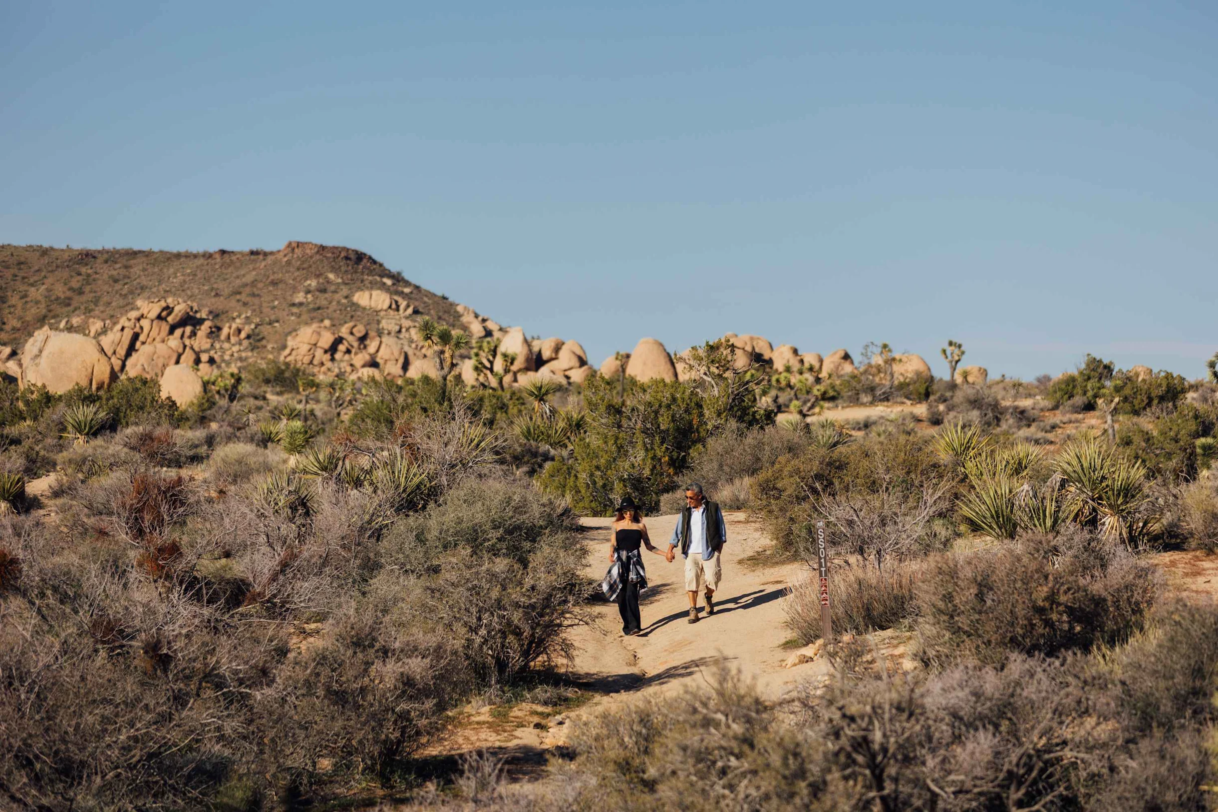 Wander Yucca Valley Pines #56
