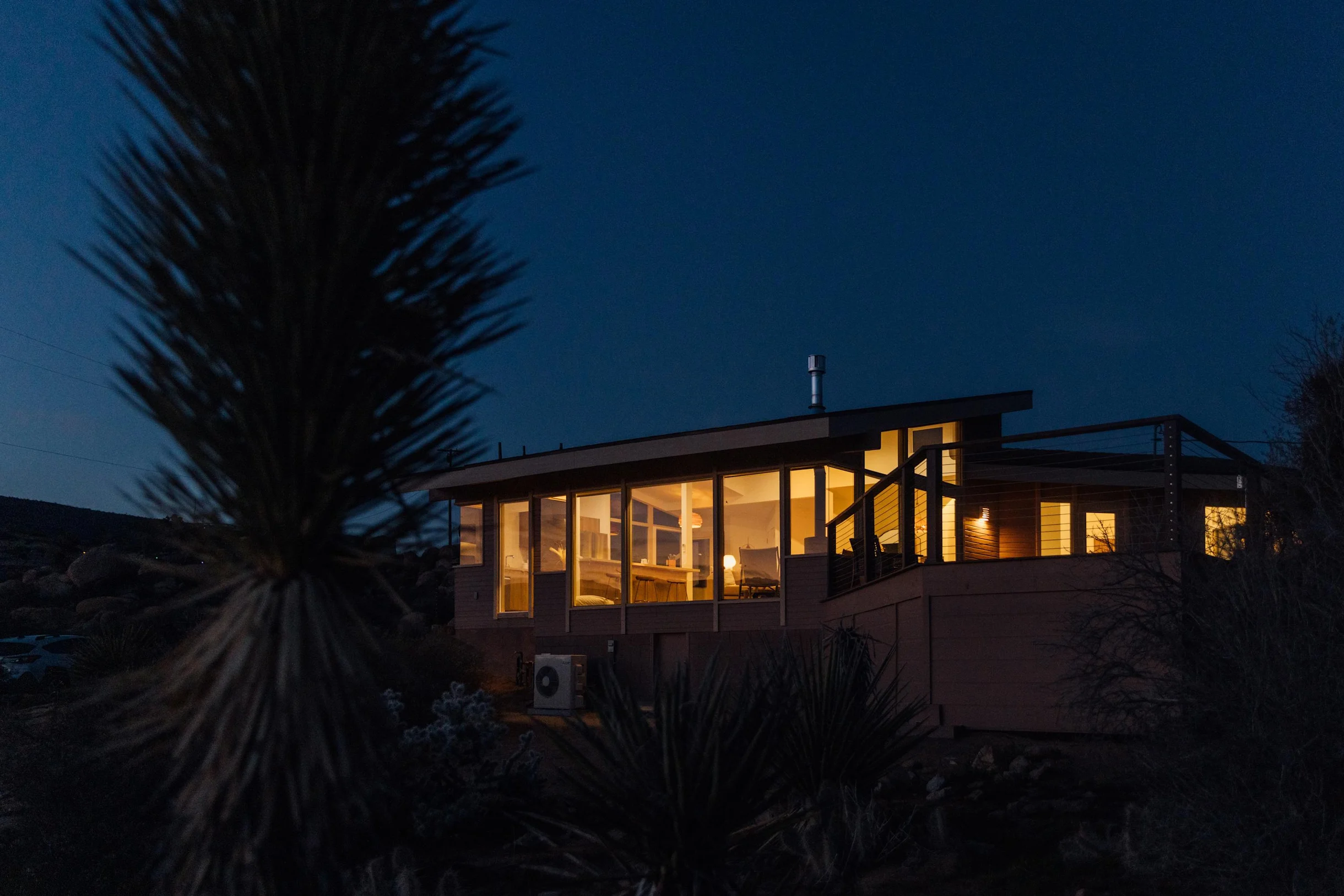 Wander Yucca Valley Pines #67