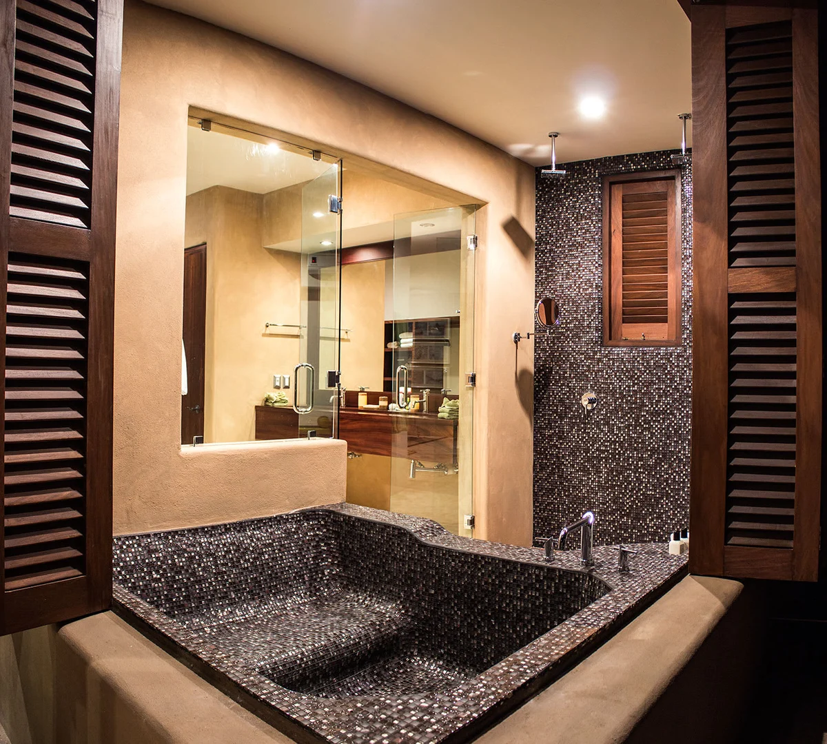 Home in Punta Mita property photo 5