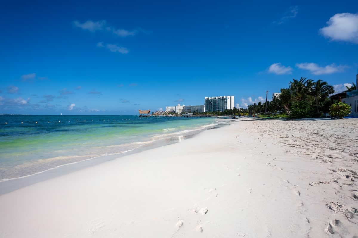 Wander Cancun Reef #71
