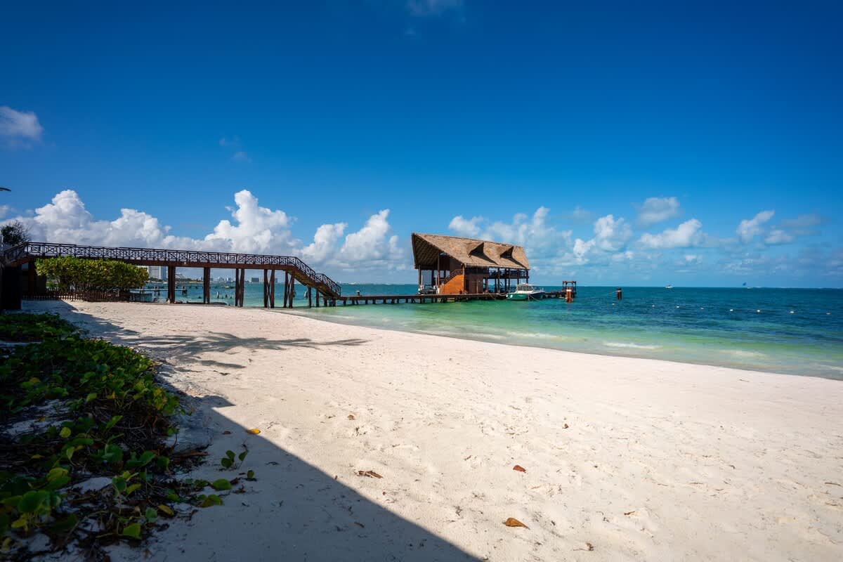 Wander Cancun Reef #14