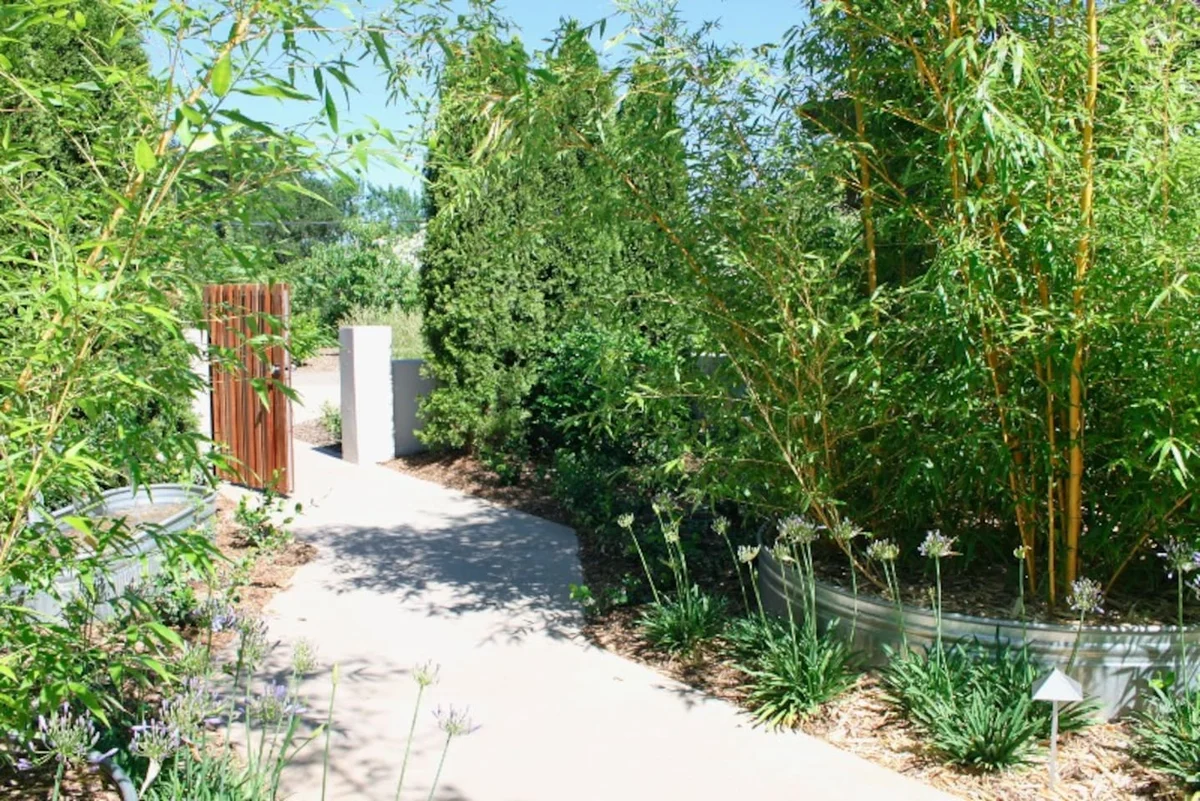 Chatthaveli Healdsburg #15