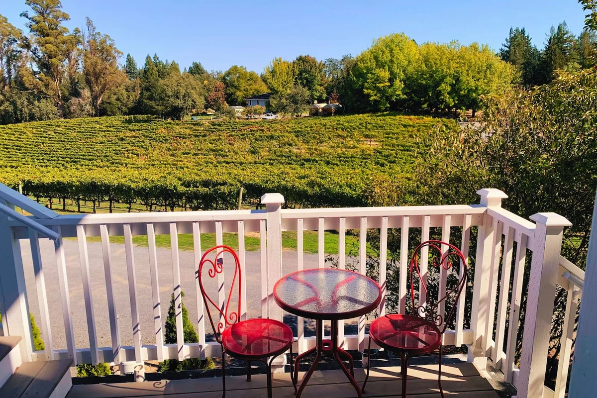 Ross Ridge Vineyards #12