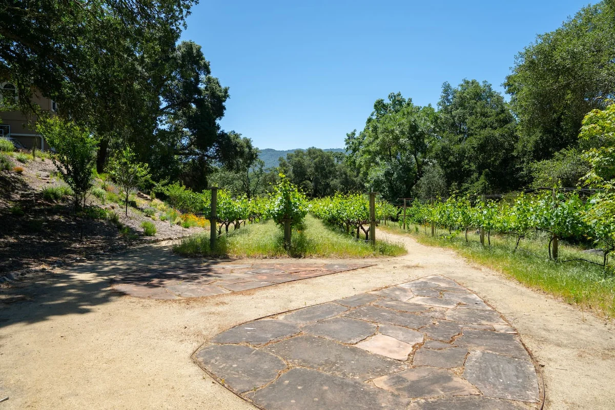 Valley of the Moon Winehouse #44