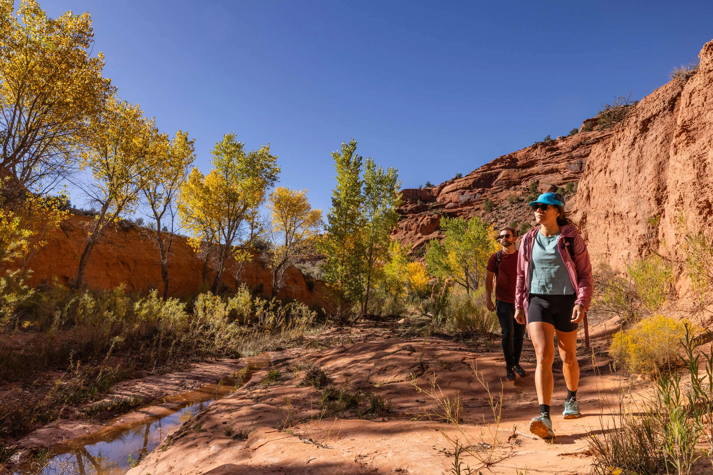 Wander Hatch Canyons #58