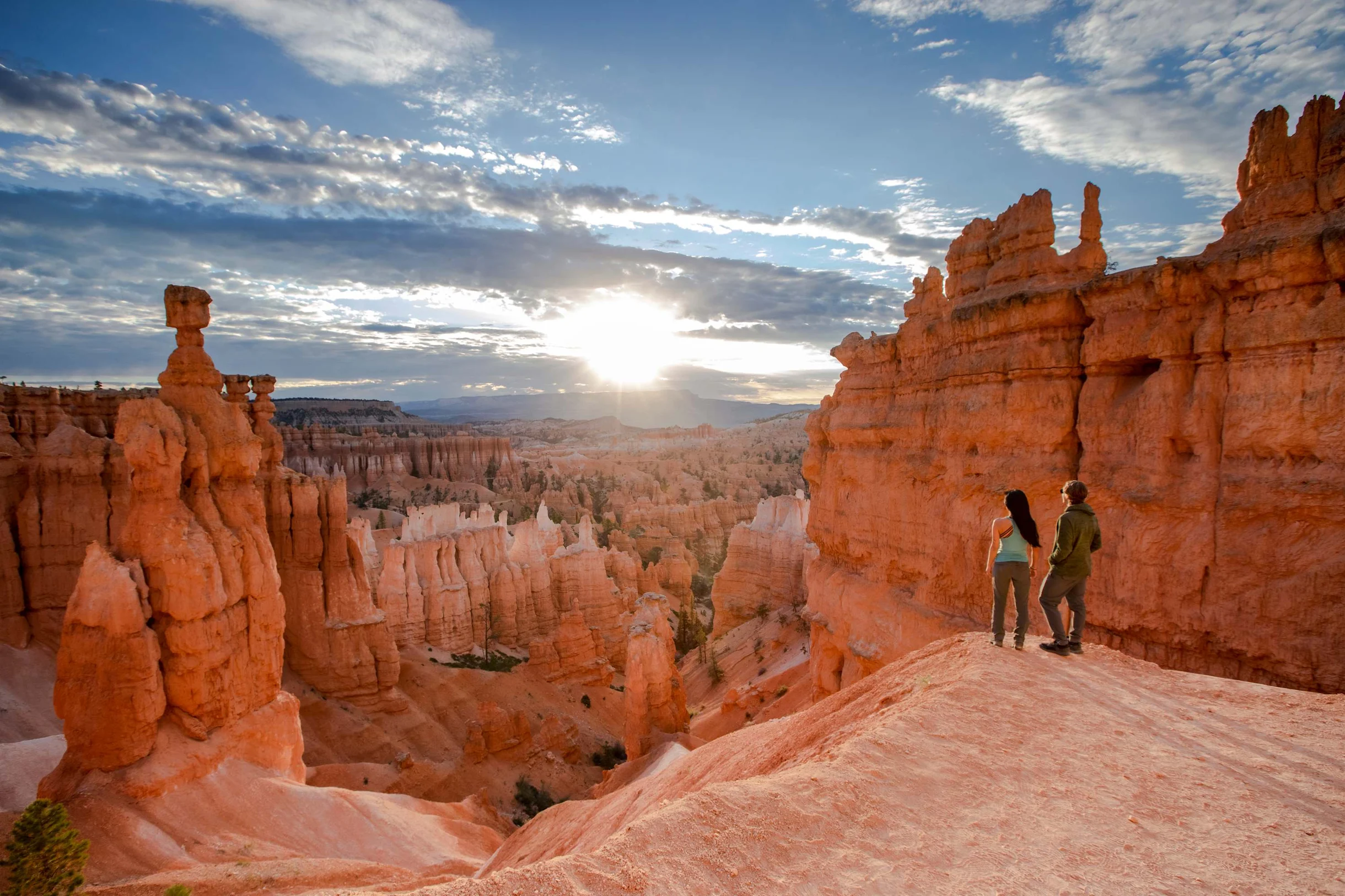 Wander Hatch Bryce #65