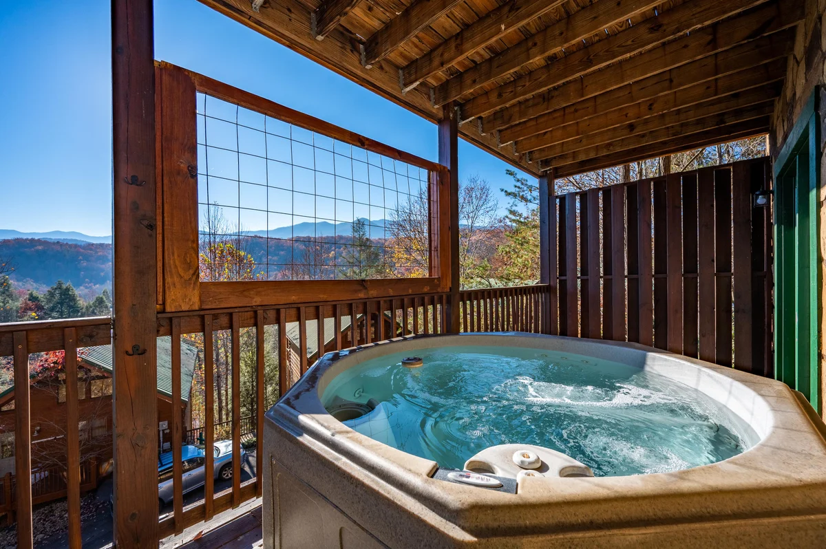 Property in Gatlinburg property photo 3