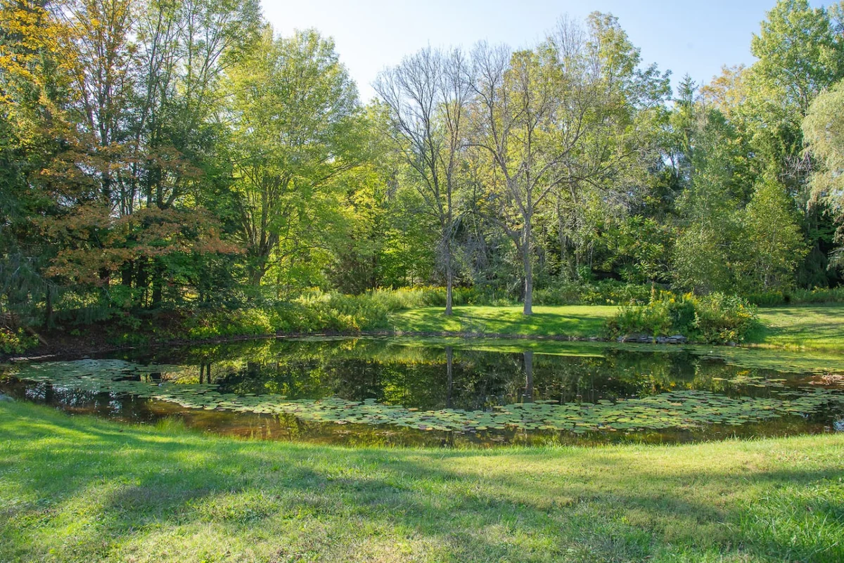 Fresh Air • Modern Comfort • Catskills Charm #55