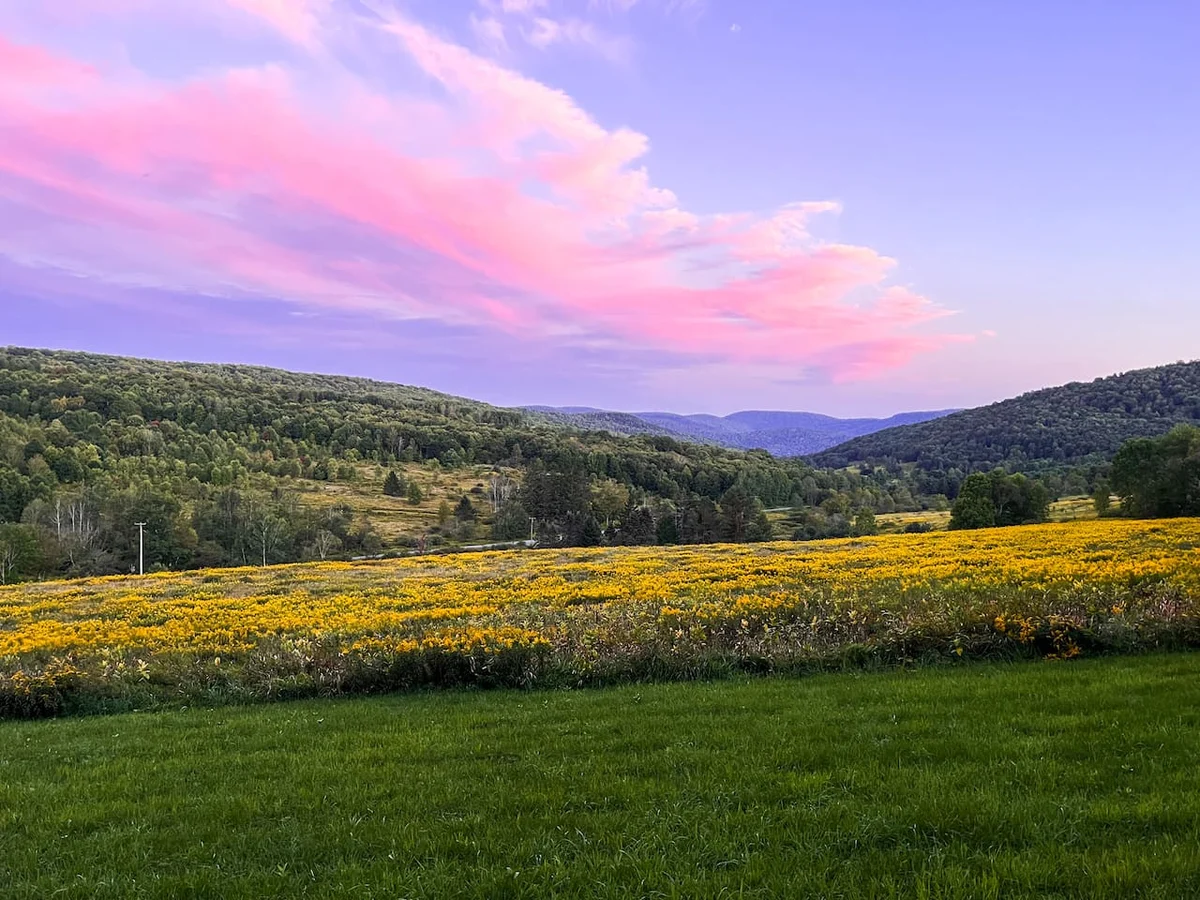 4 Season Adventure Hub • Hiking, Views & Campfires #82