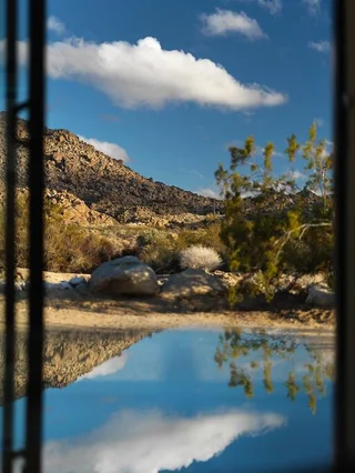 Wander Joshua Tree Terra #62