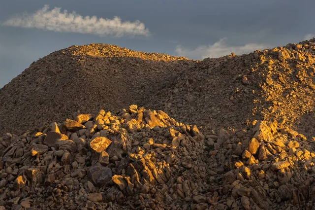 Wander Joshua Tree Edge #79
