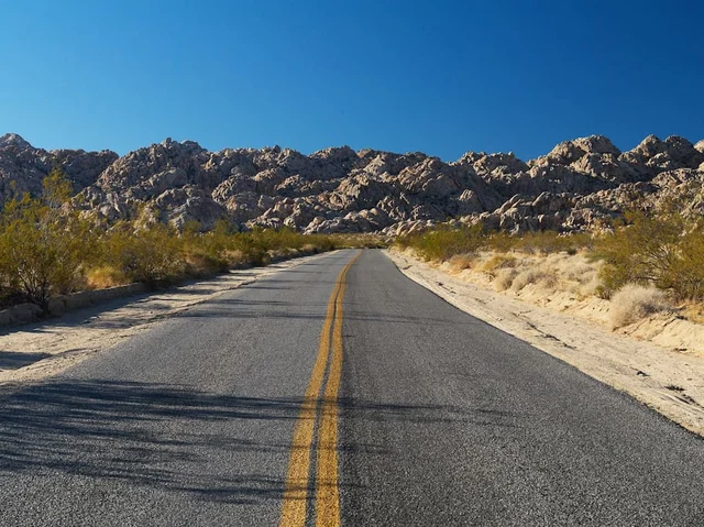 Wander Joshua Tree Edge #78