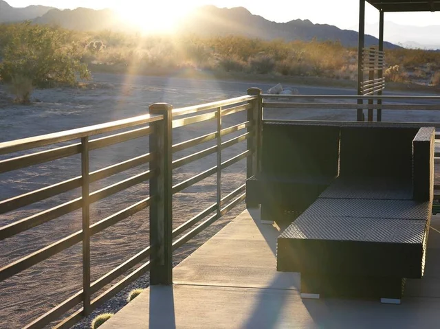 Wander Joshua Tree Edge #81