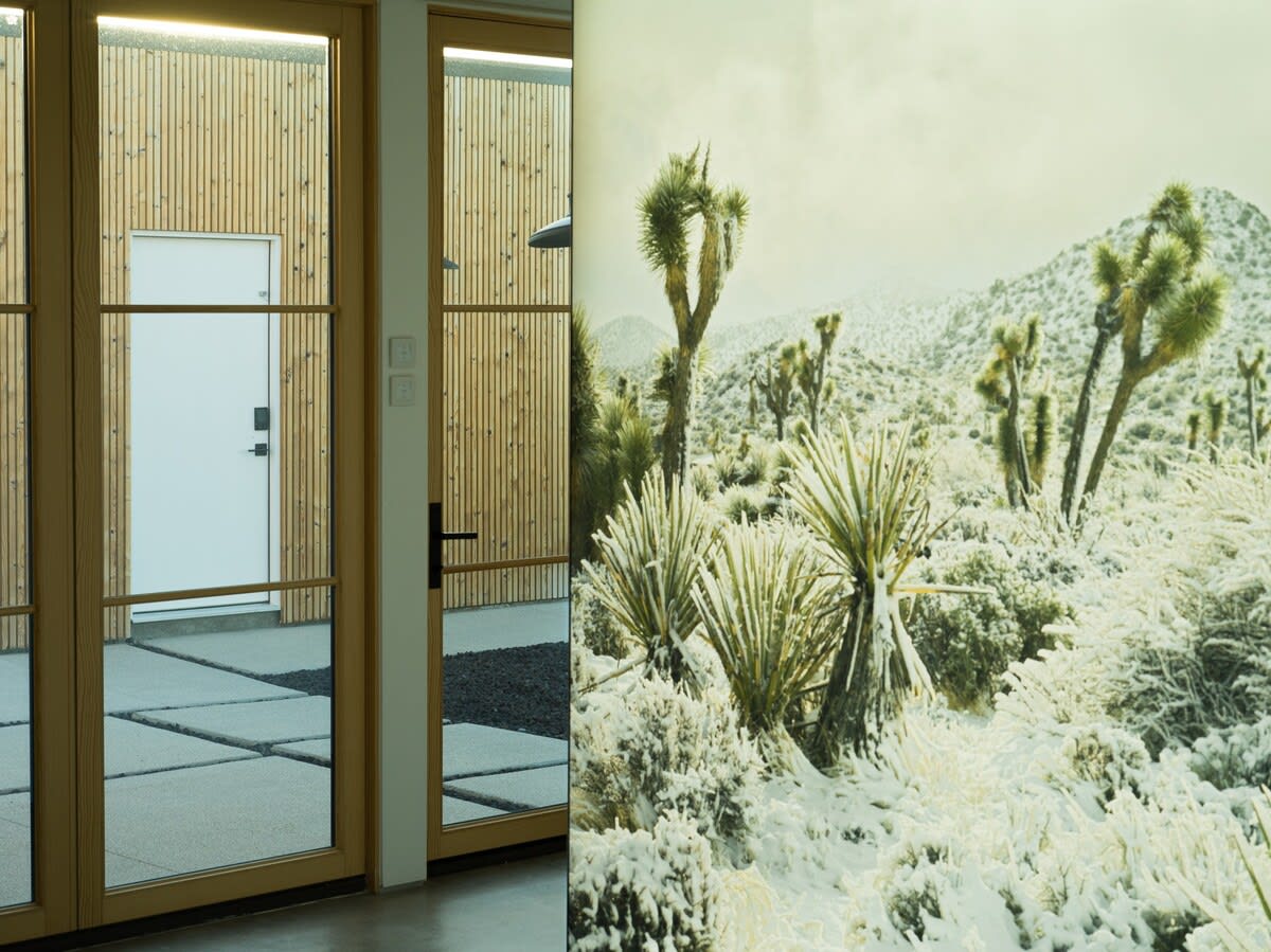 Wander Joshua Tree Sapphire #90