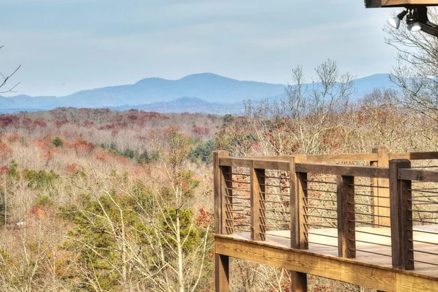 Wander Georgia Bears #125