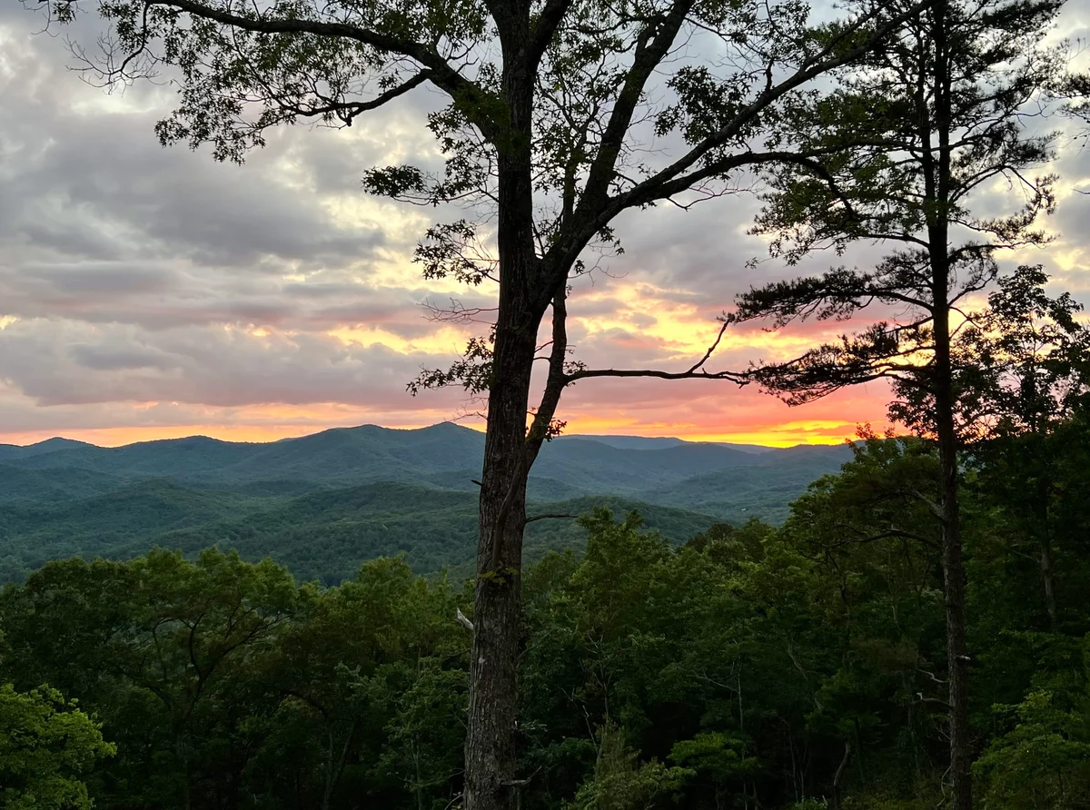 Wander Georgia Ridge #131