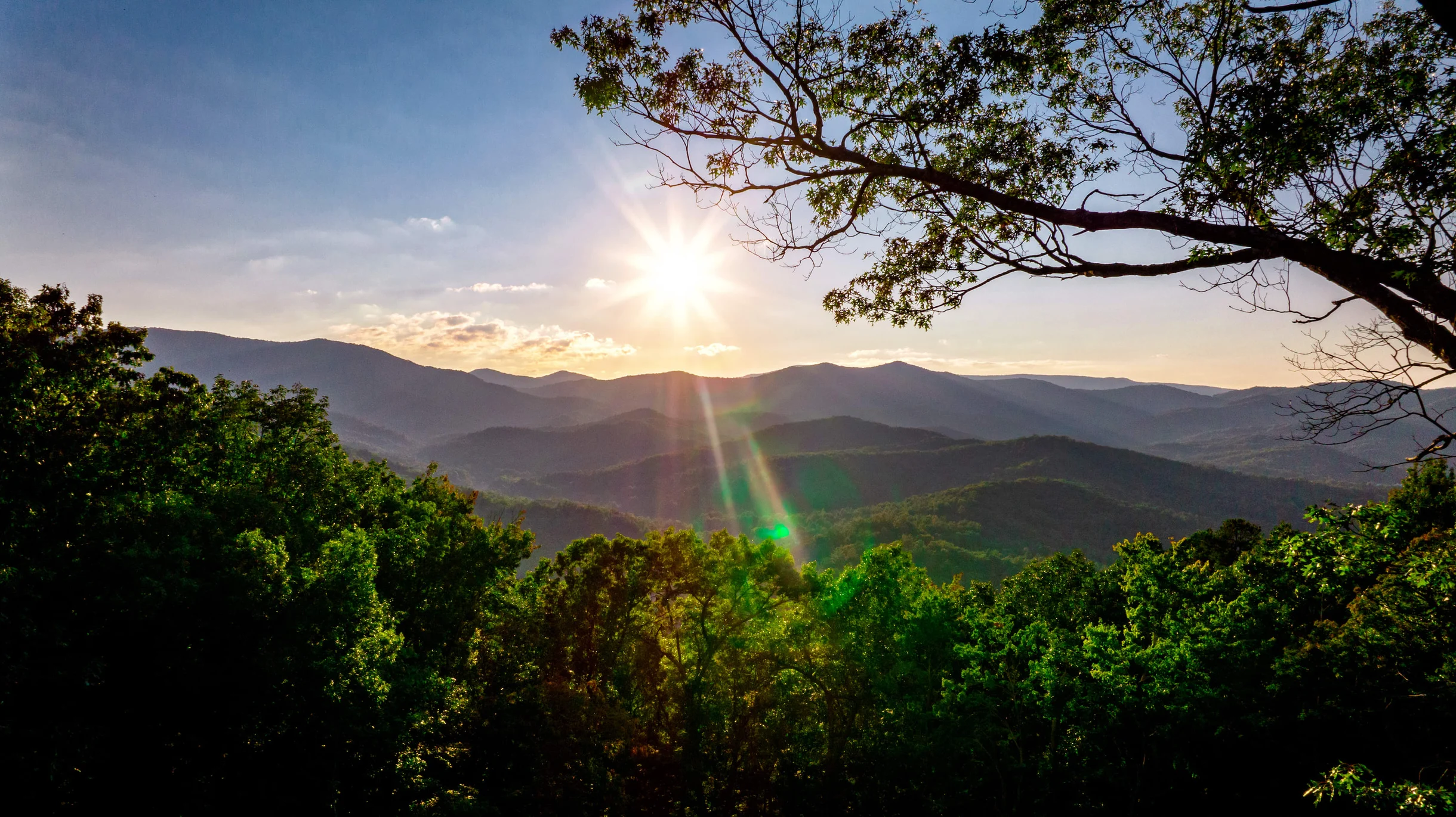 Wander Georgia Ridge #118