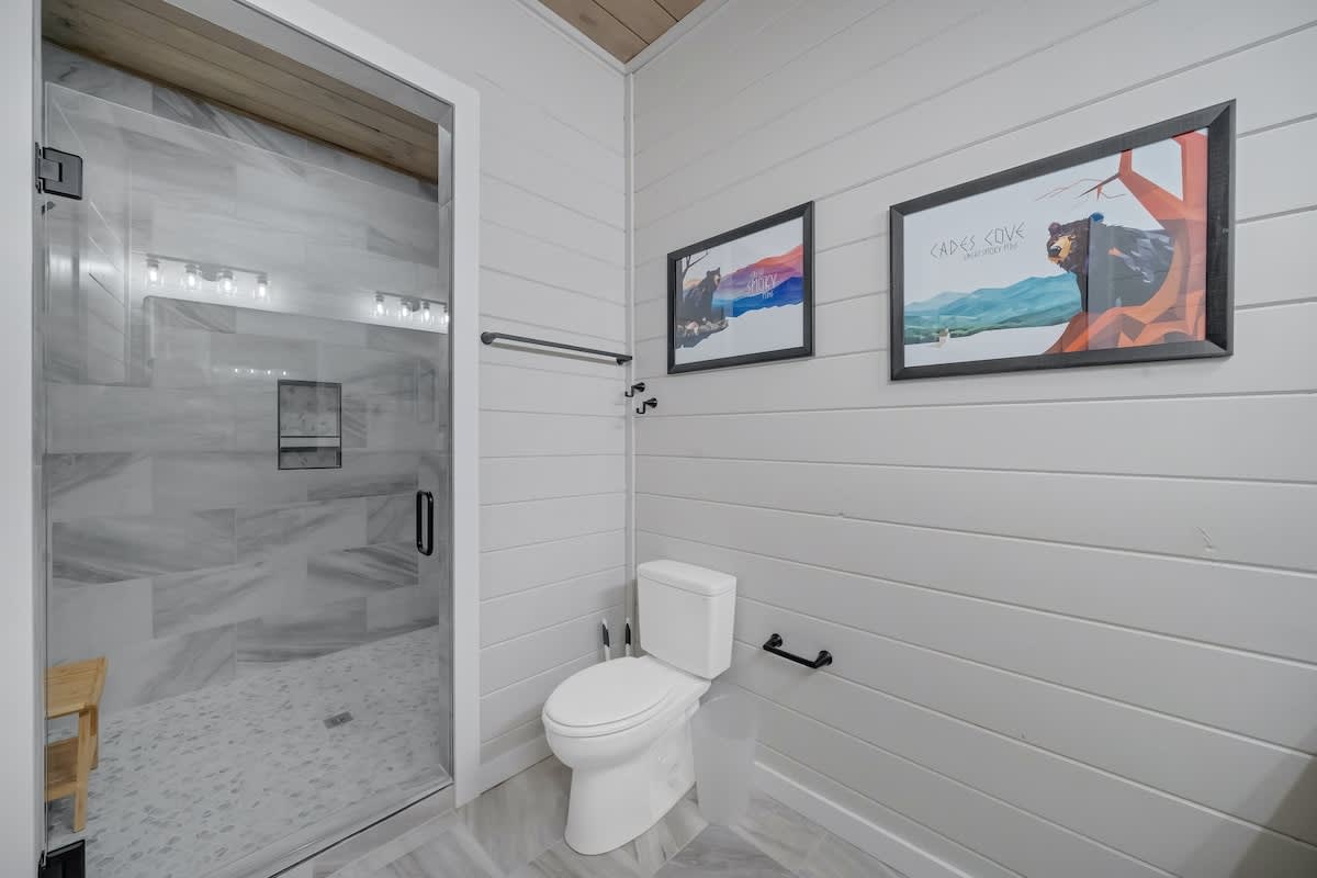 Wander Pigeon Stone #257