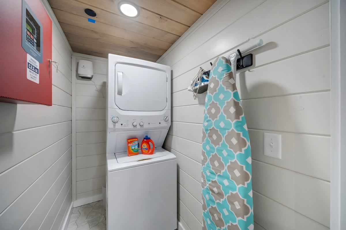 Wander Pigeon Stone #281