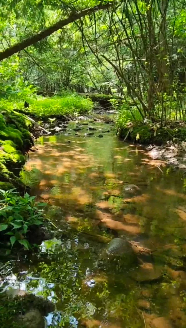 Wander Catskills Ridge #67