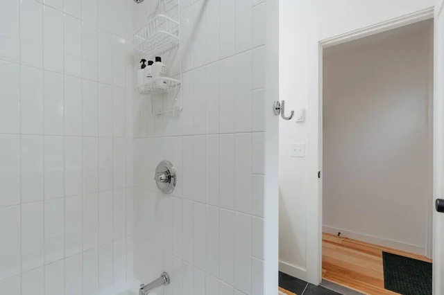 Wander Catskills Ridge #54