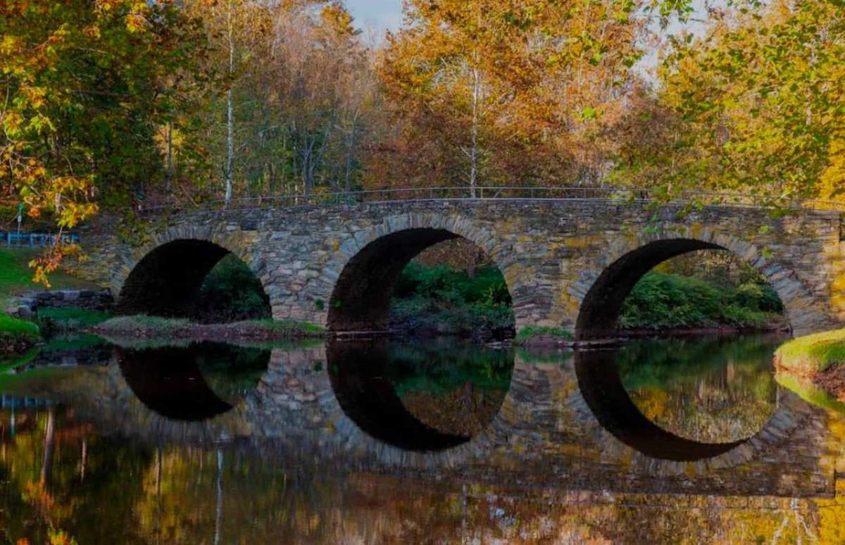 Wander Catskills Ridge #81