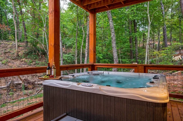 Wander Sevierville Ridge #132